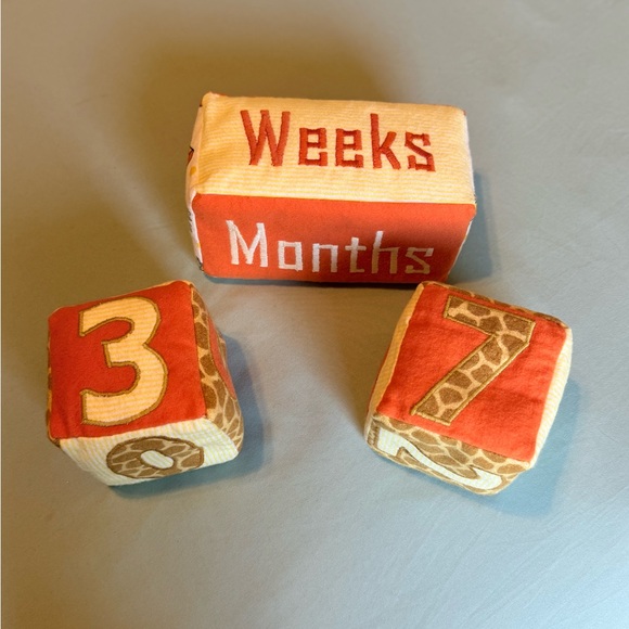 Large Baby Milestone Blocks - Picture 3 of 5